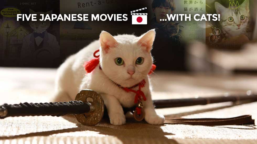 5 Japanese movies (and 3 shorts) to watch if you love cats Cinema